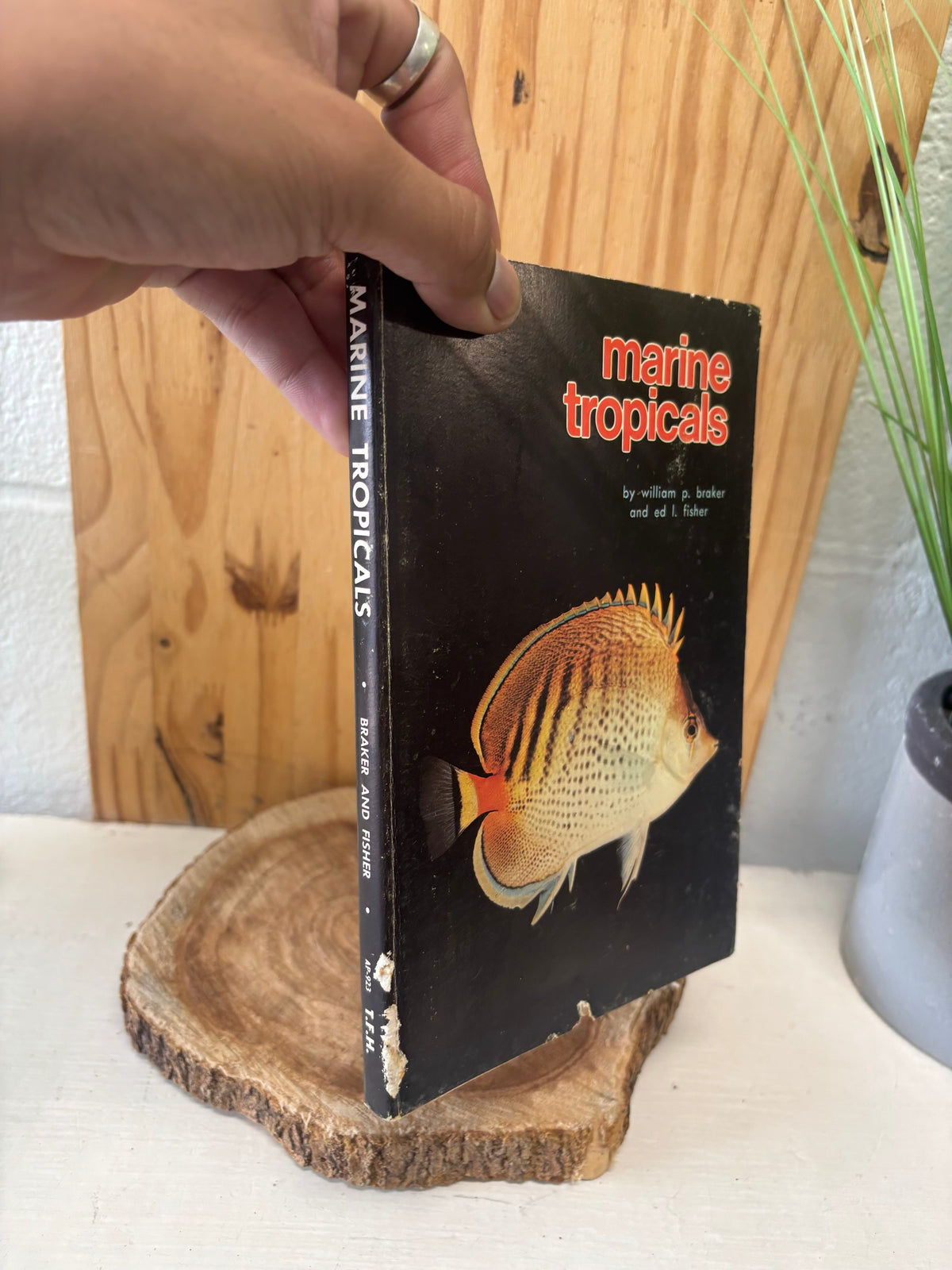 Vtg Fish Book (As Is)