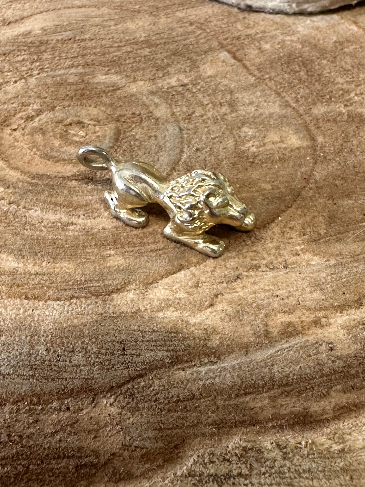 Little Lion Charm