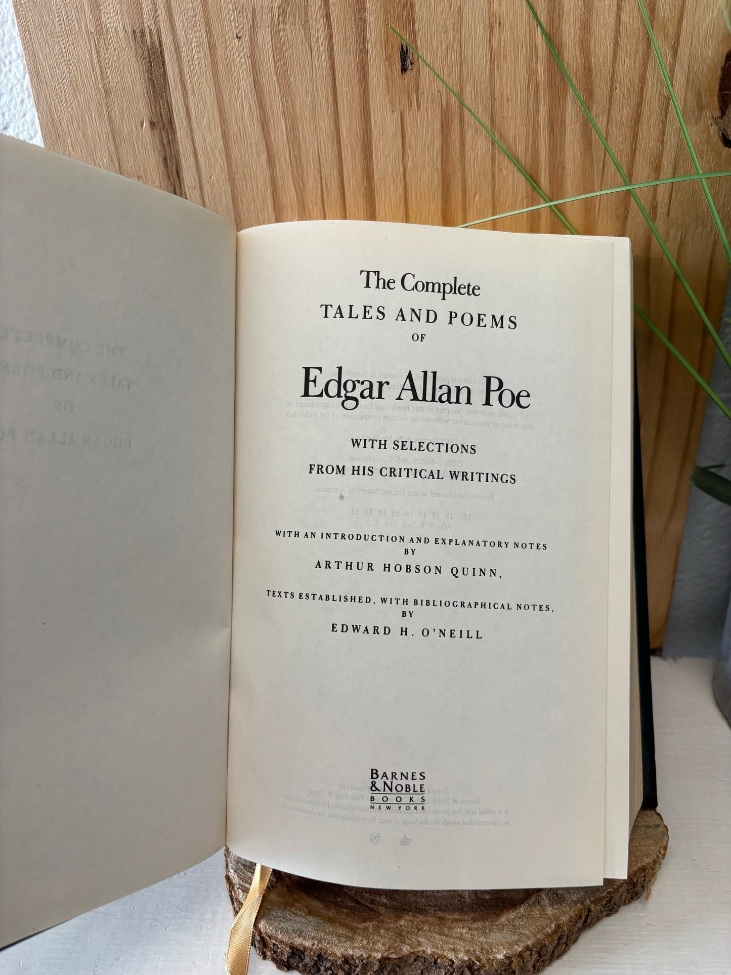 Edgar Allan Poe Book (Local Pickup Only)