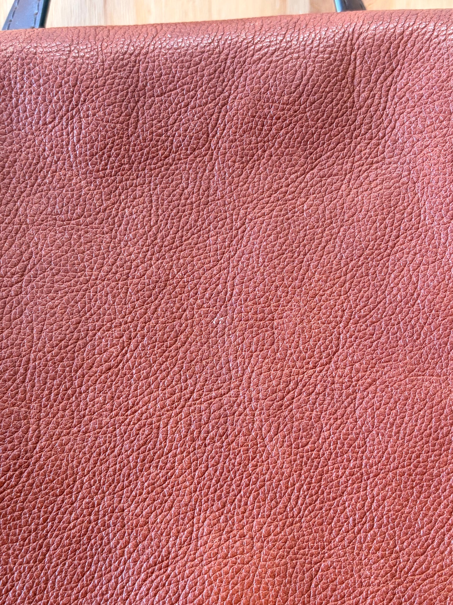 Fossil Pebbled Brown Backpack