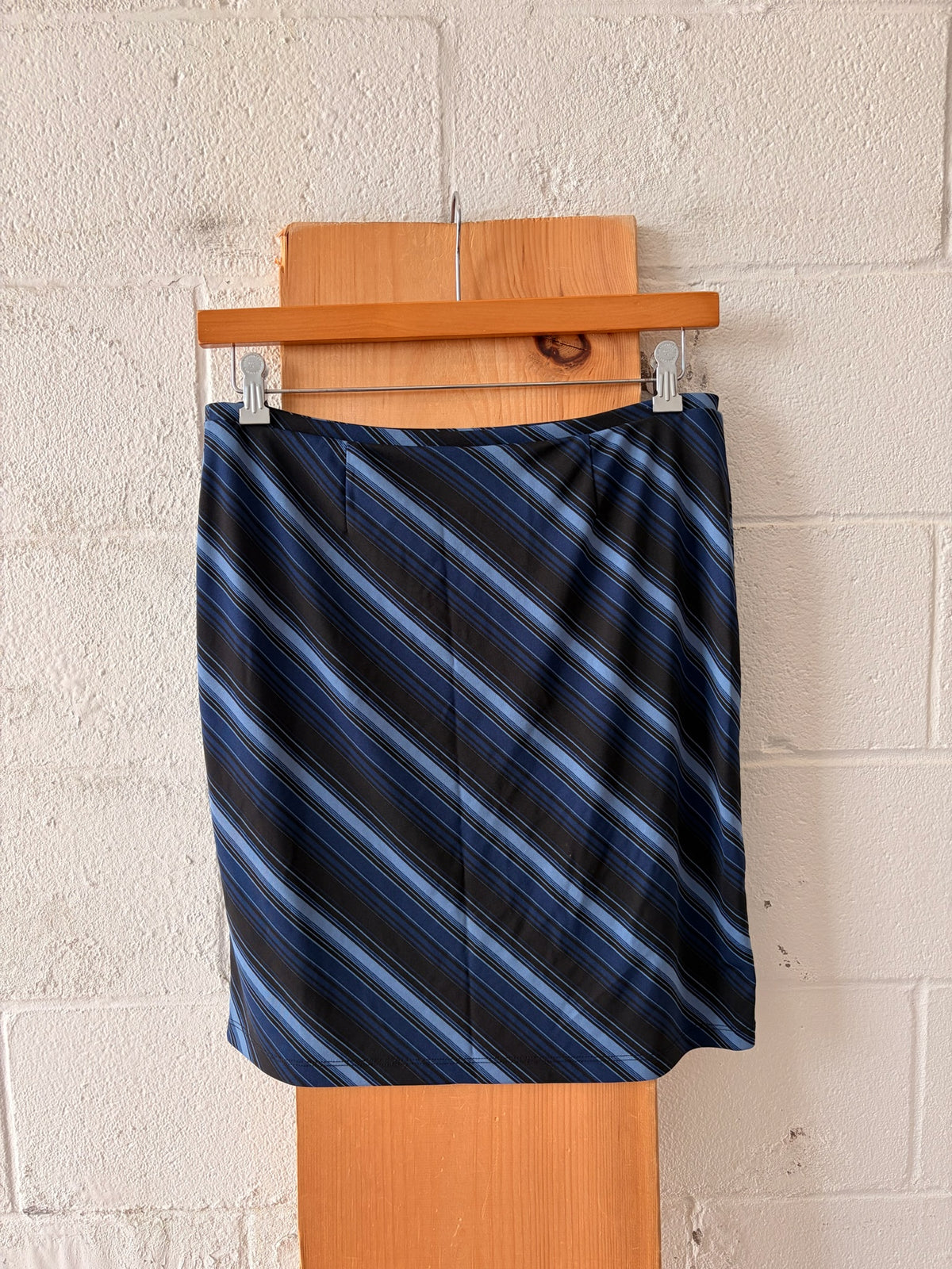 Striped Blue Skirt : L