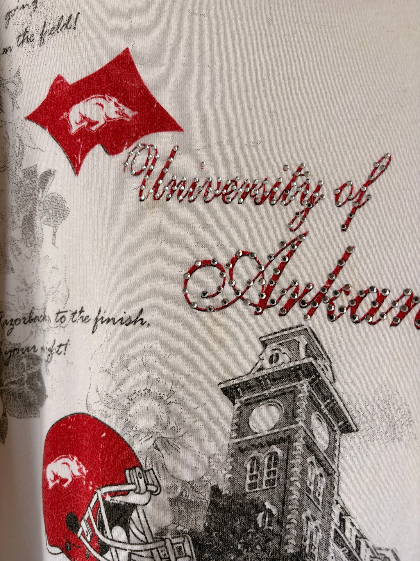 Y2K University of Arkansas Tee : L/XL