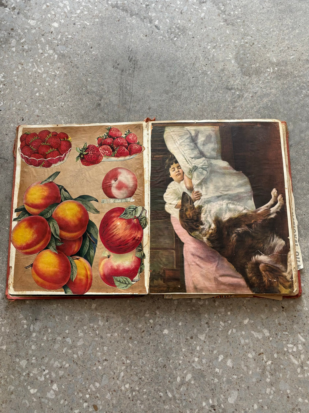 Vtg Early 1900’s Scrap Book (Local Pickup Only)