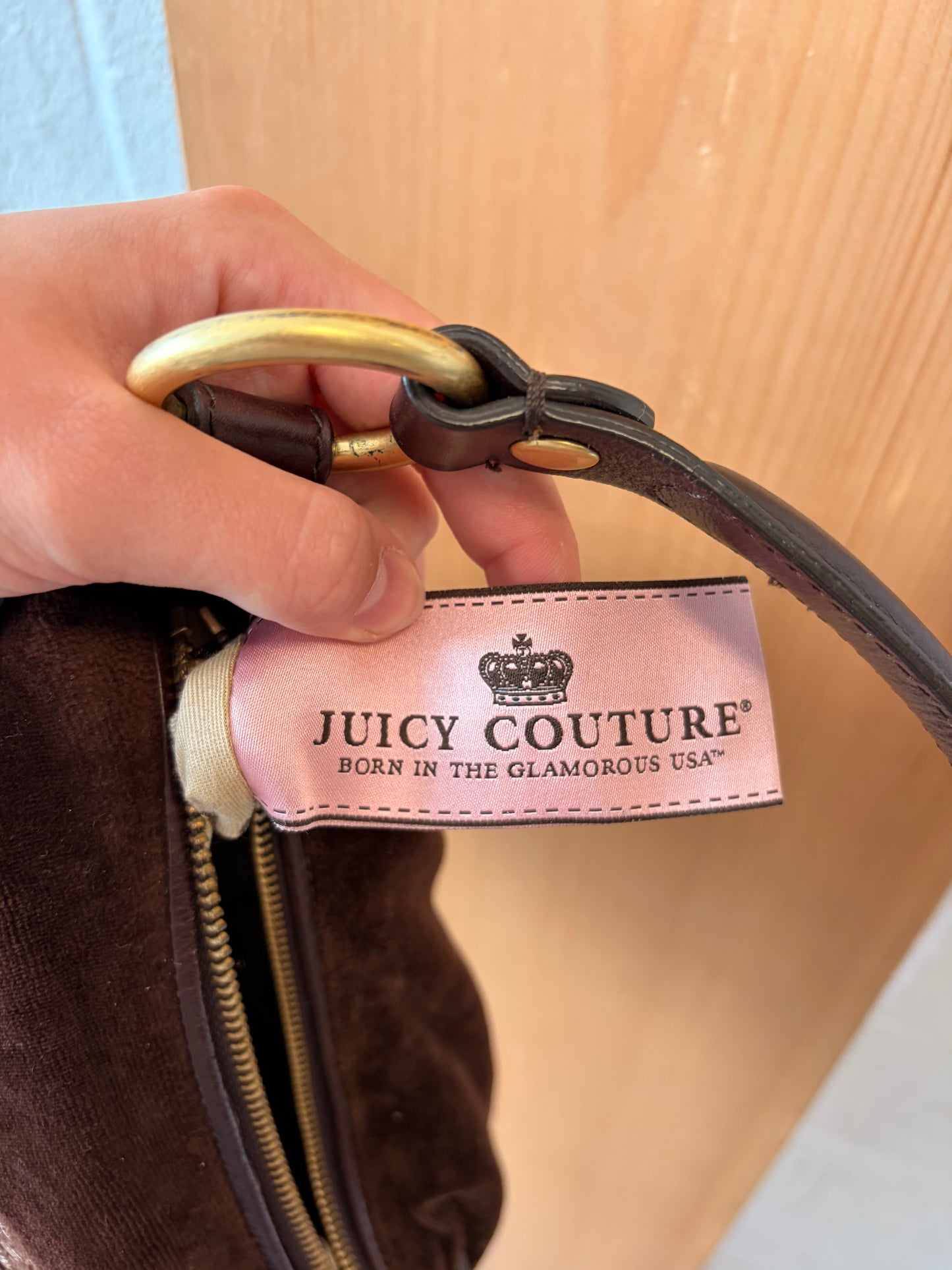 Brown Juicy Velour Hobo Purse