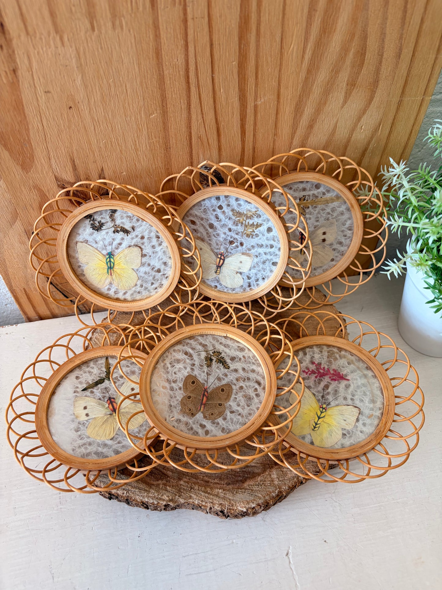 Vtg Pressed Butterfly Wicker Coaster Set (Local Pick Up Only)