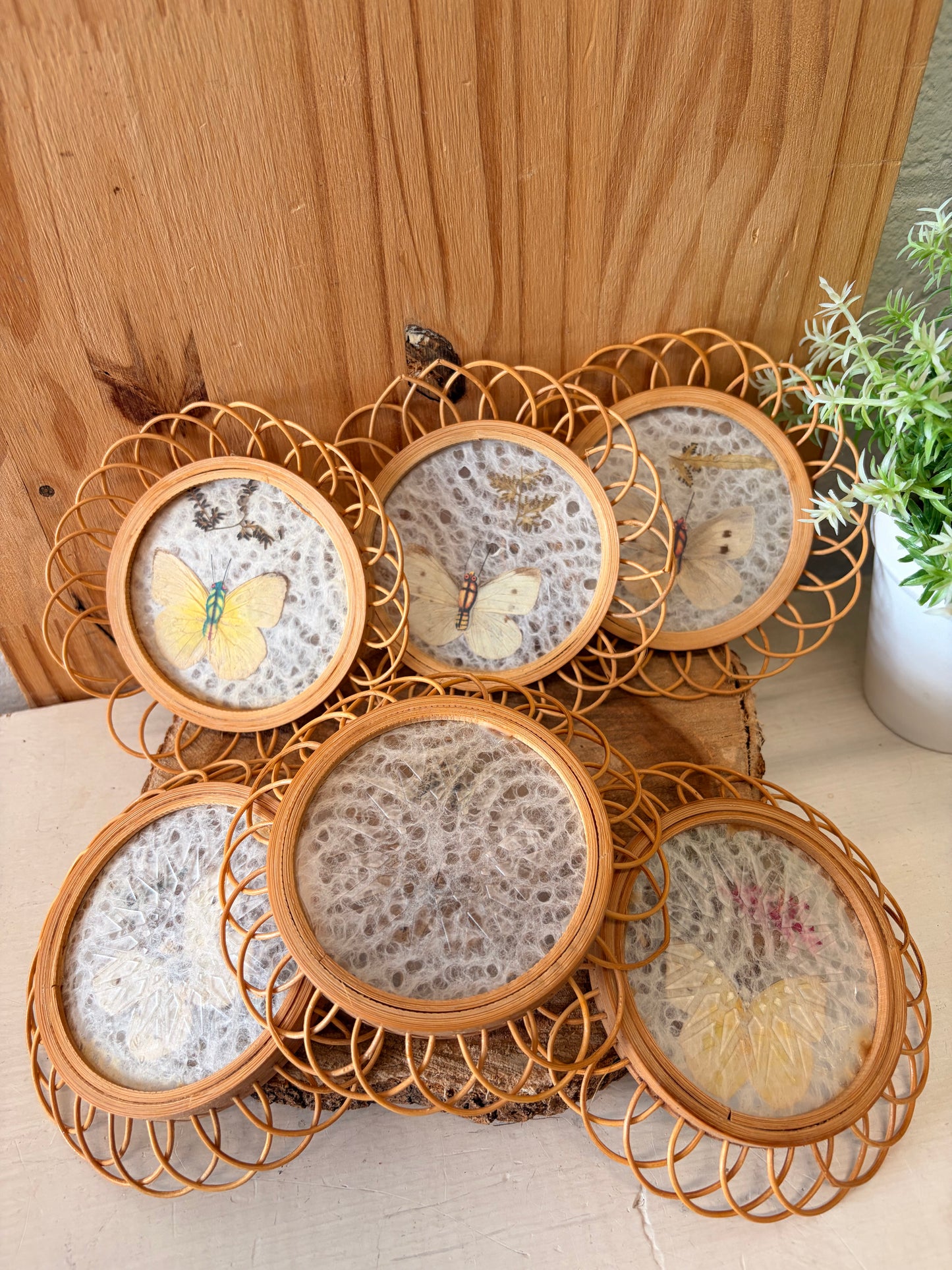 Vtg Pressed Butterfly Wicker Coaster Set (Local Pick Up Only)