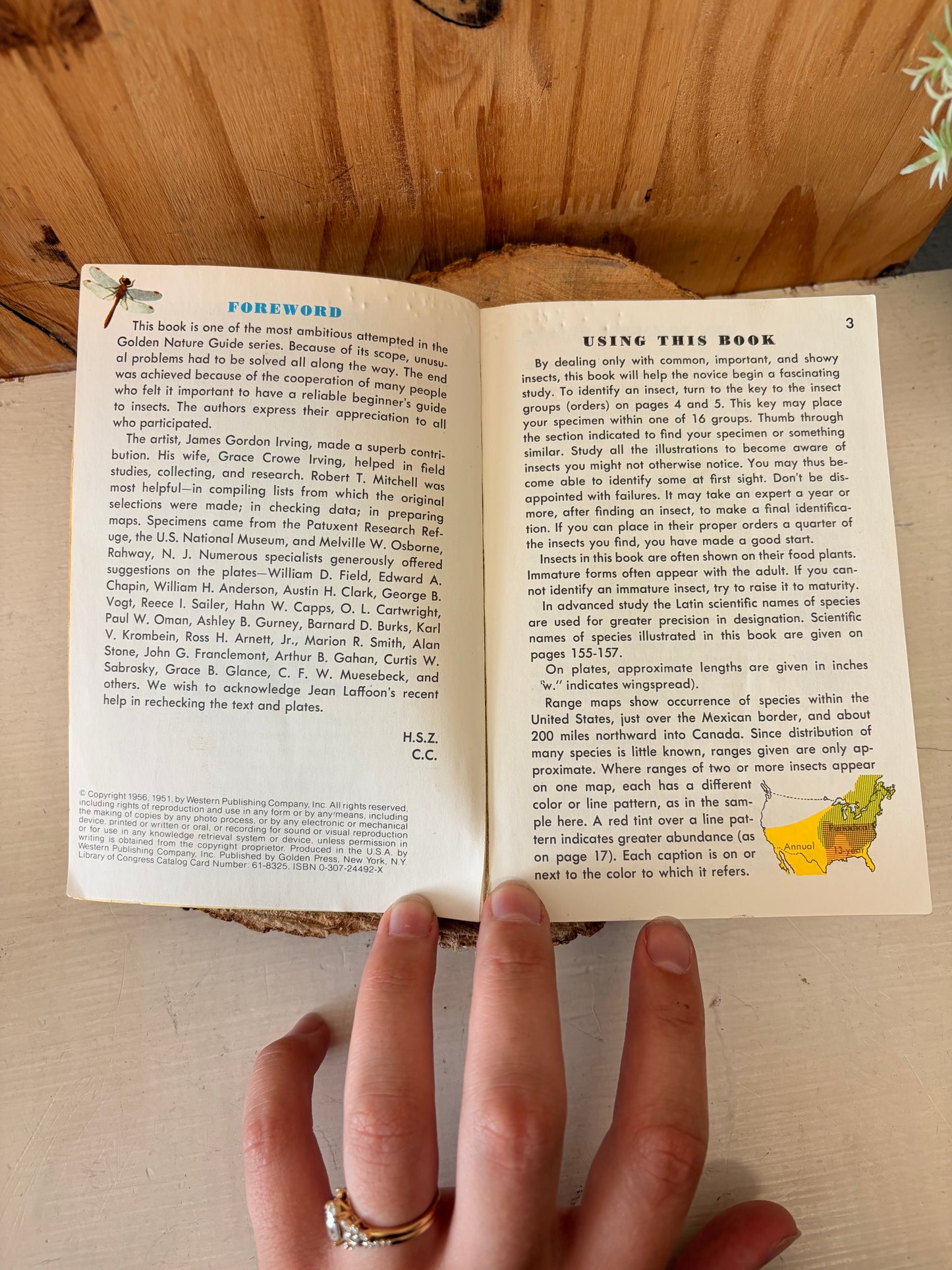 Vtg Golden Guide Insects Book