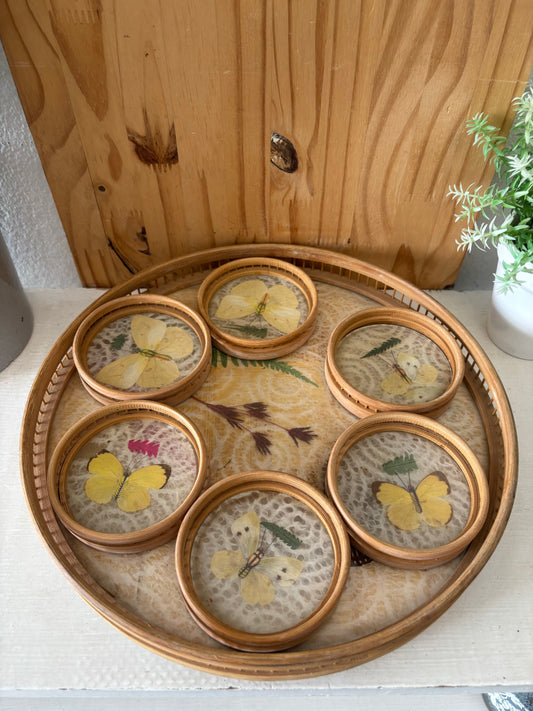 Vtg Butterfly Serving Tray W/Coasters (Local Pickup Only)