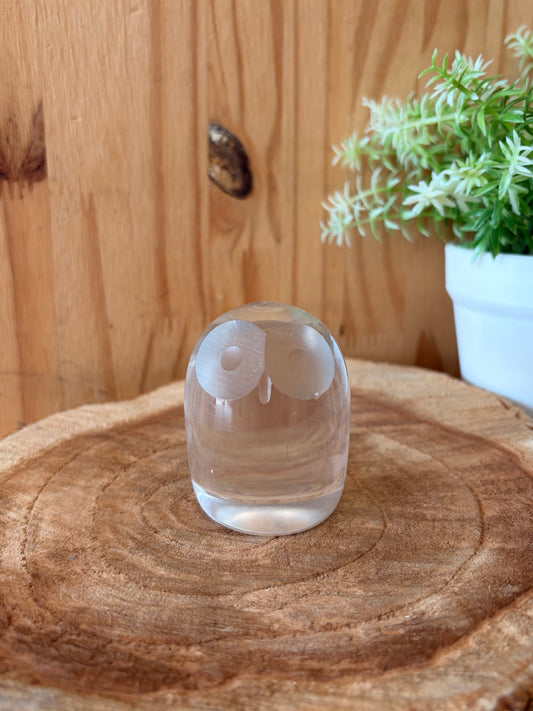 Little Clear Plastic Owl Figurine
