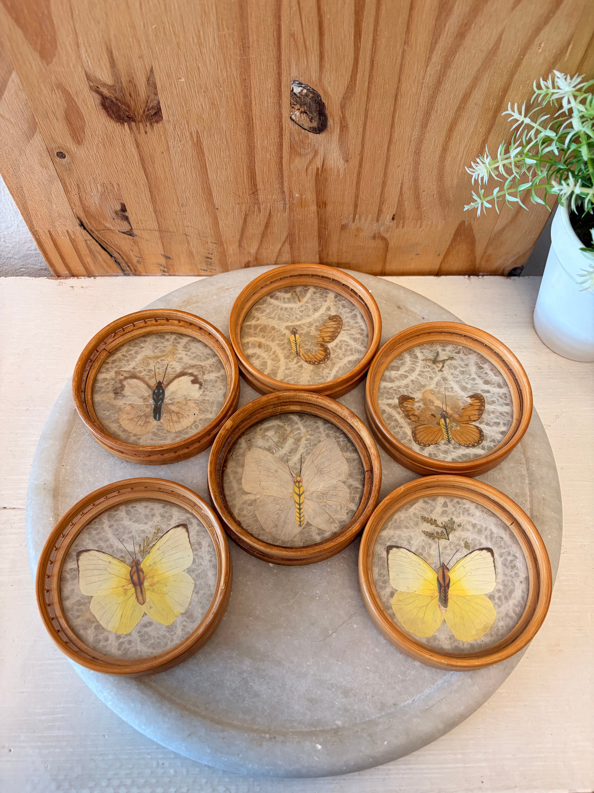 Vtg Butterfly Bamboo Coasters & Serving Tray Set (Local Pick Up Only - As Is)