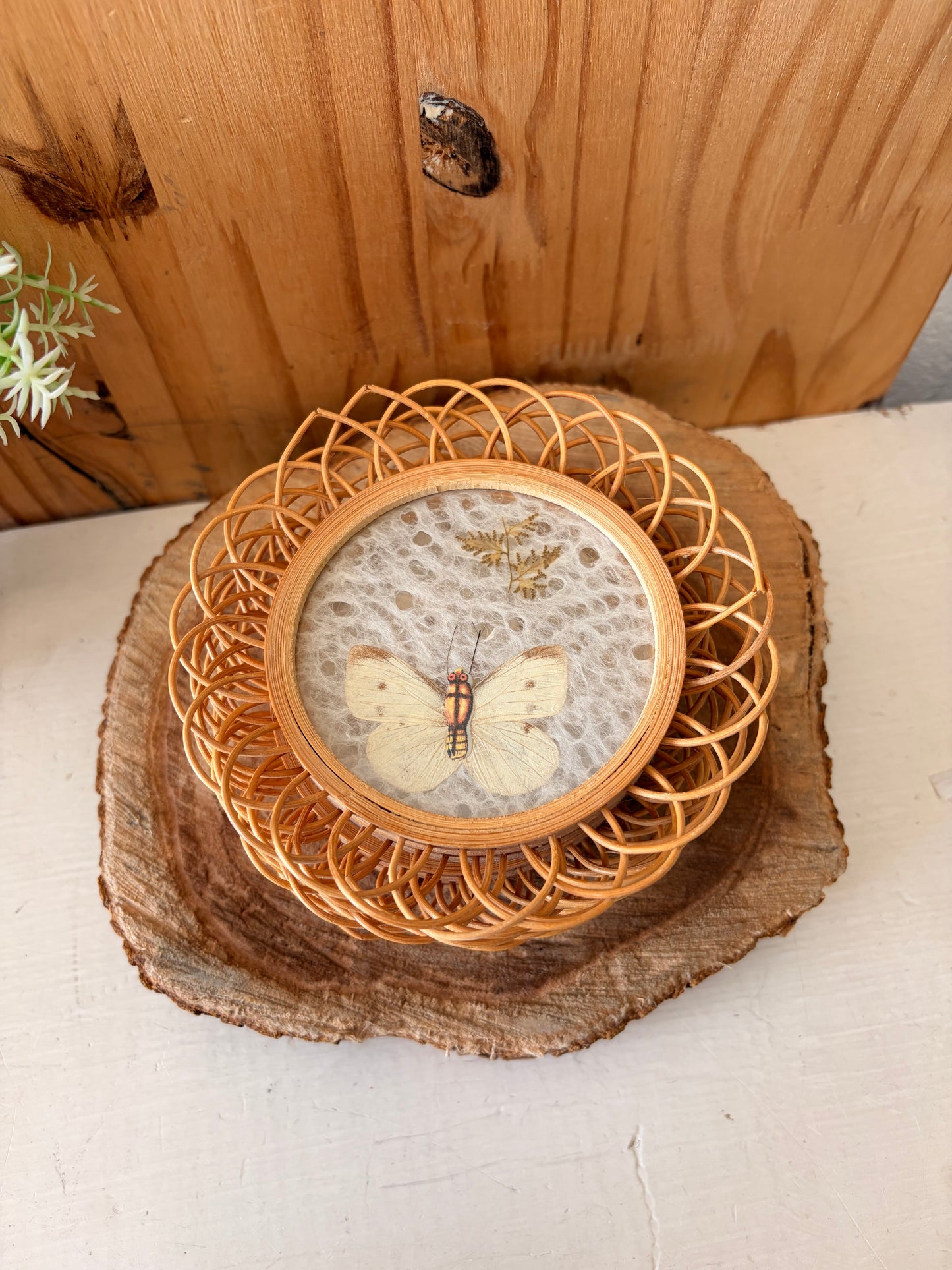 Vtg Pressed Butterfly Wicker Coaster Set (Local Pick Up Only)