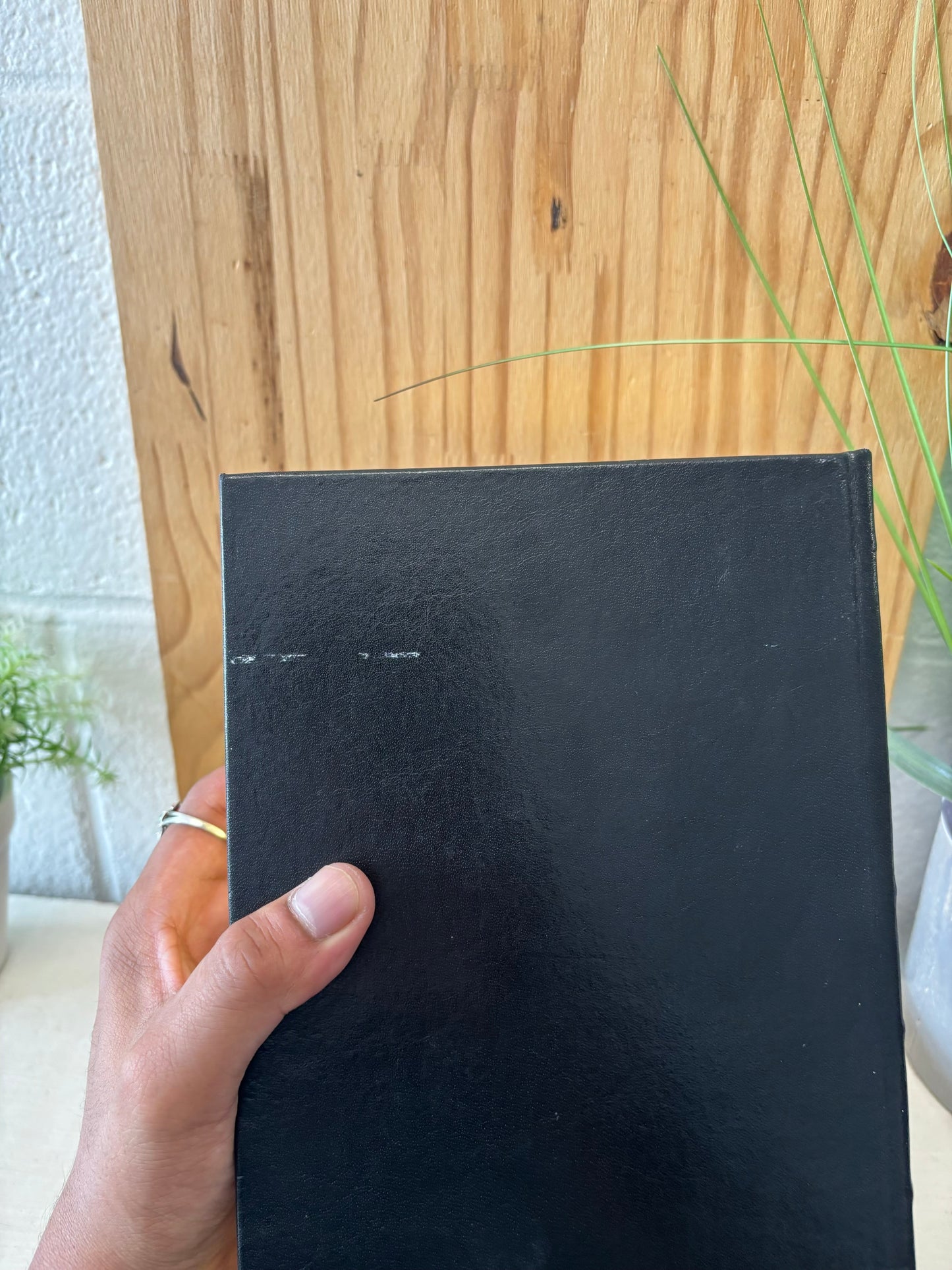 Edgar Allan Poe Book (Local Pickup Only)