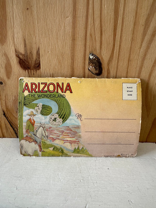 Vtg Arizona Postcard Set
