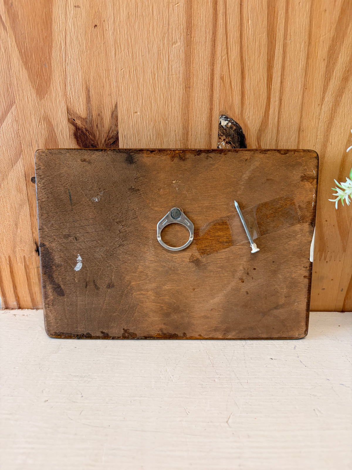 Little Whimsy Mushroom Plaque