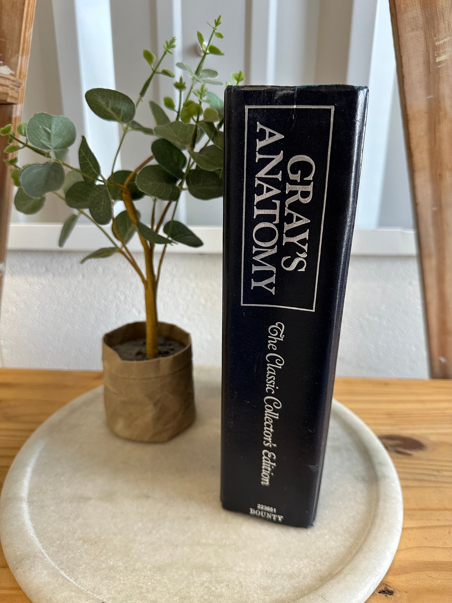 Vtg Gray’s Anatomy Book
