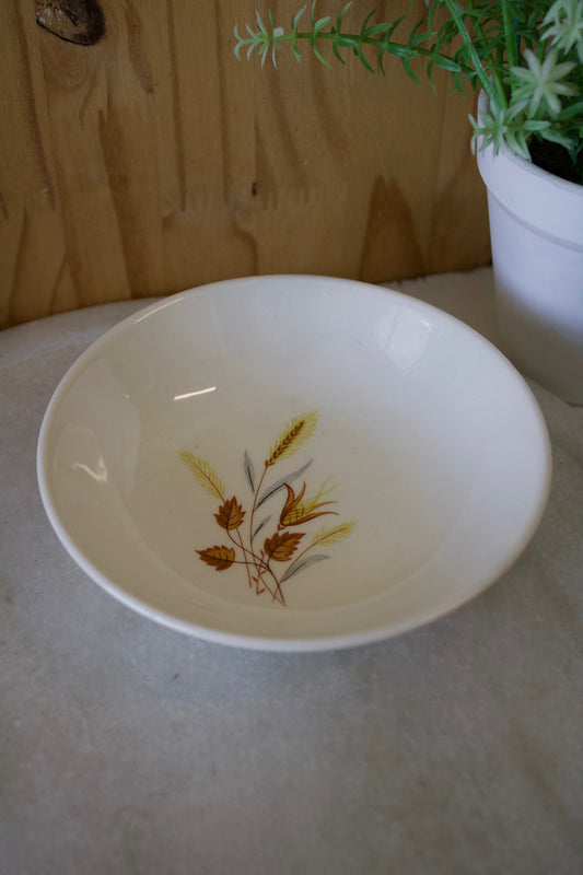Vtg Fall Saucer