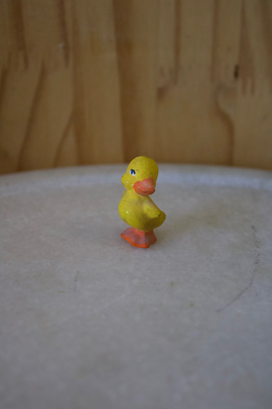 Tiny Duck