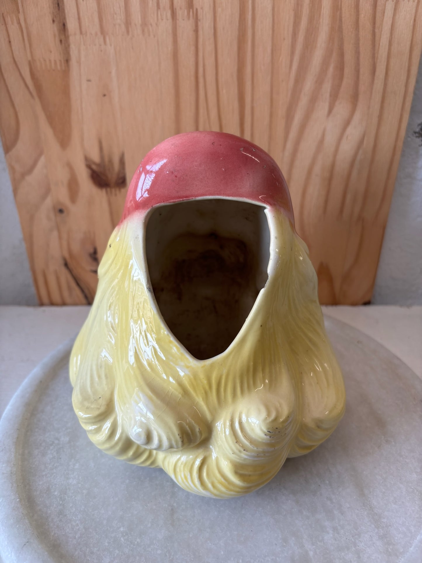 Vtg Woman’s Head Vase / Planter (Local Pick Up Only)