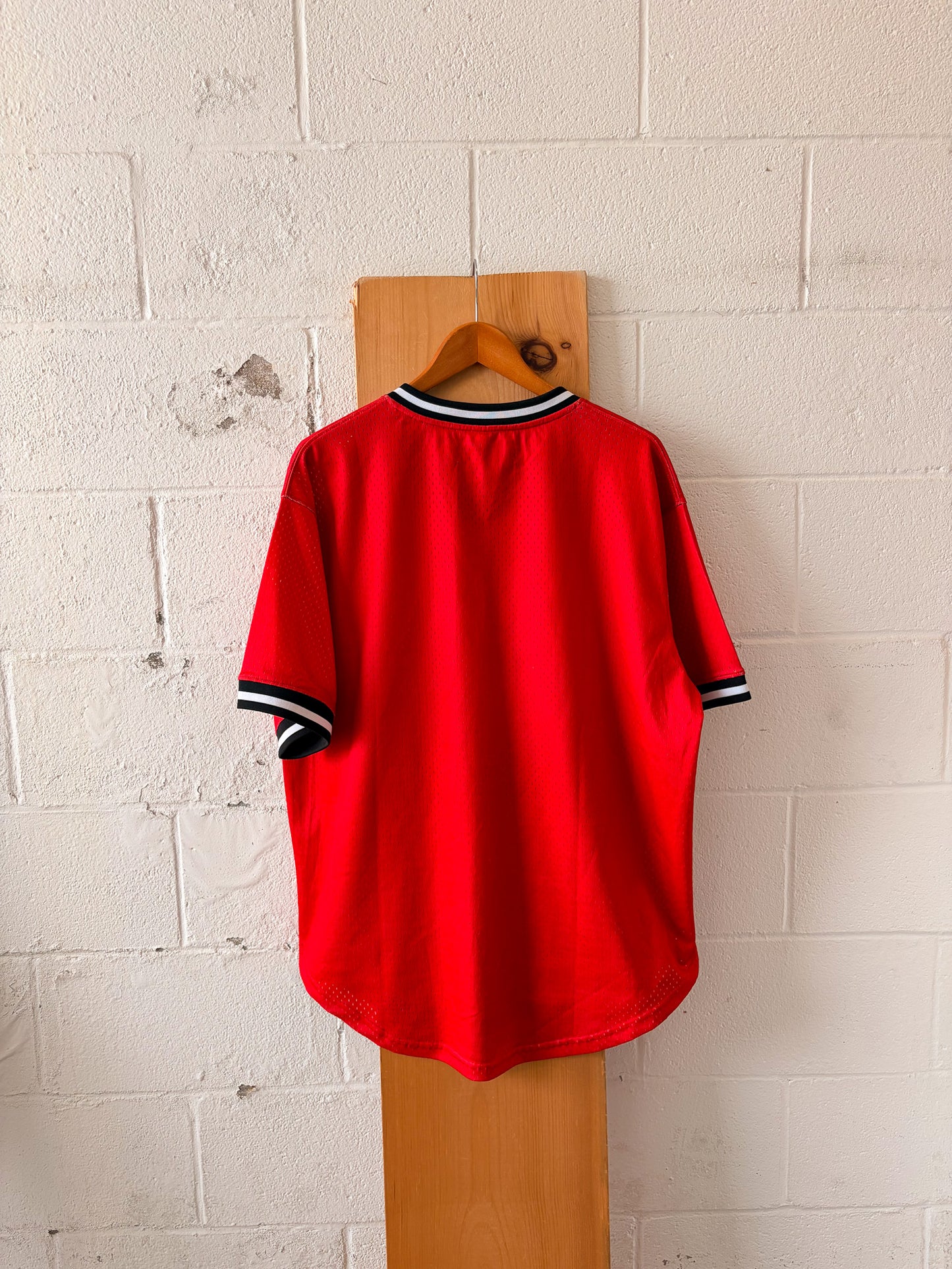 Looney Tunes Taz & Bugs Mesh Jersey : XL