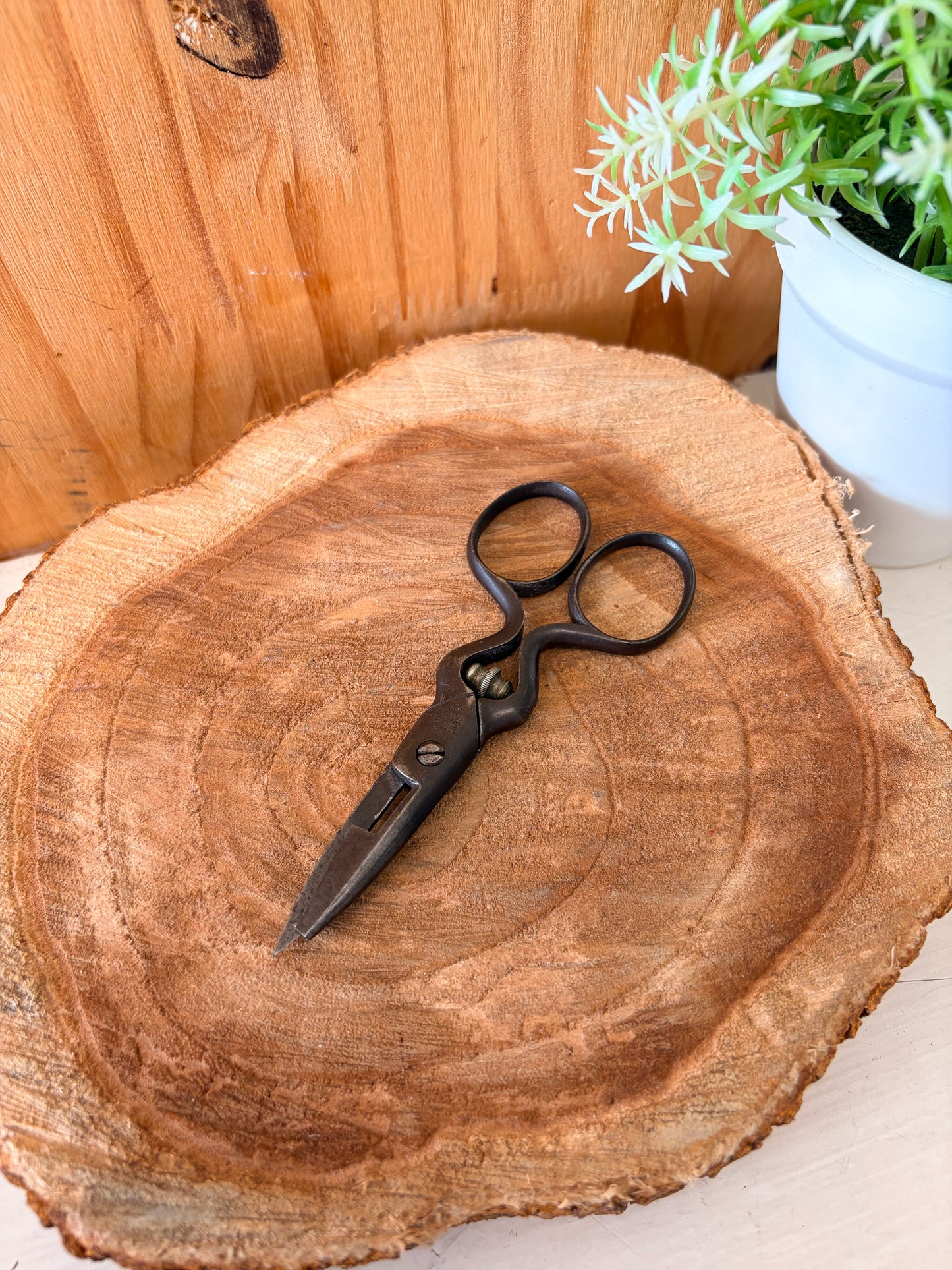 Vtg Henry Sears & Son Button Hole Scissors
