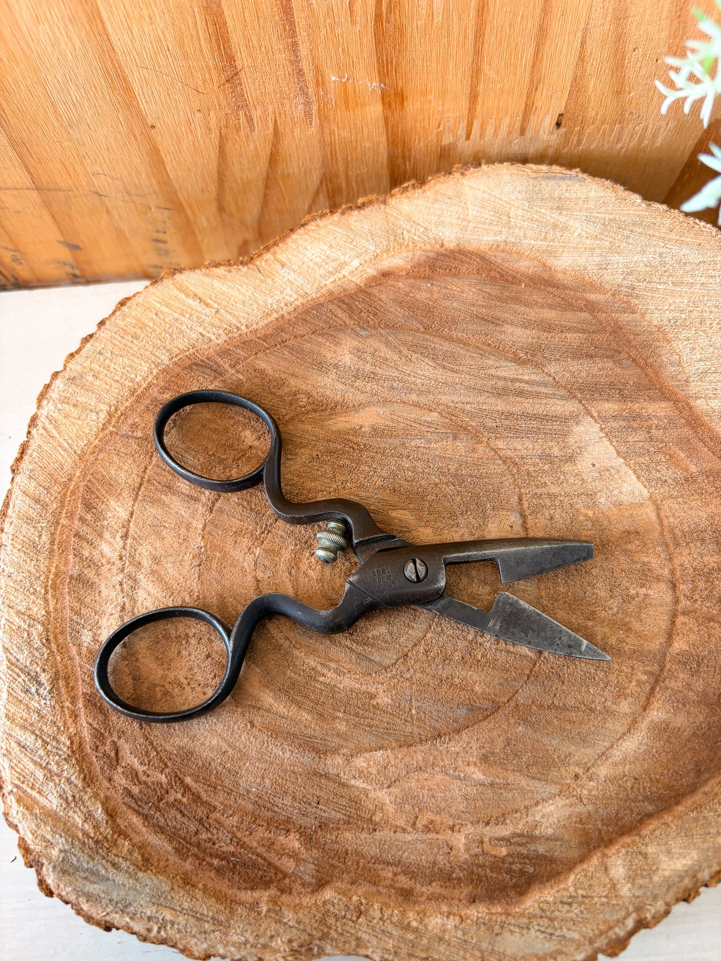 Vtg Henry Sears & Son Button Hole Scissors