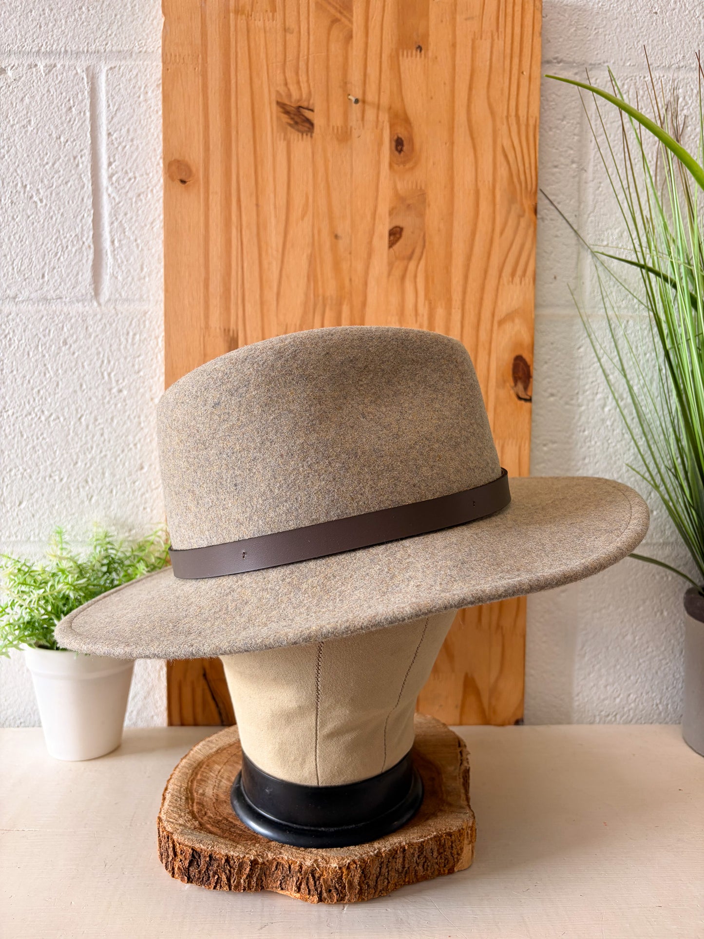 Bailey Western Wool Fedora Hat : L (Local Pick Up Only)