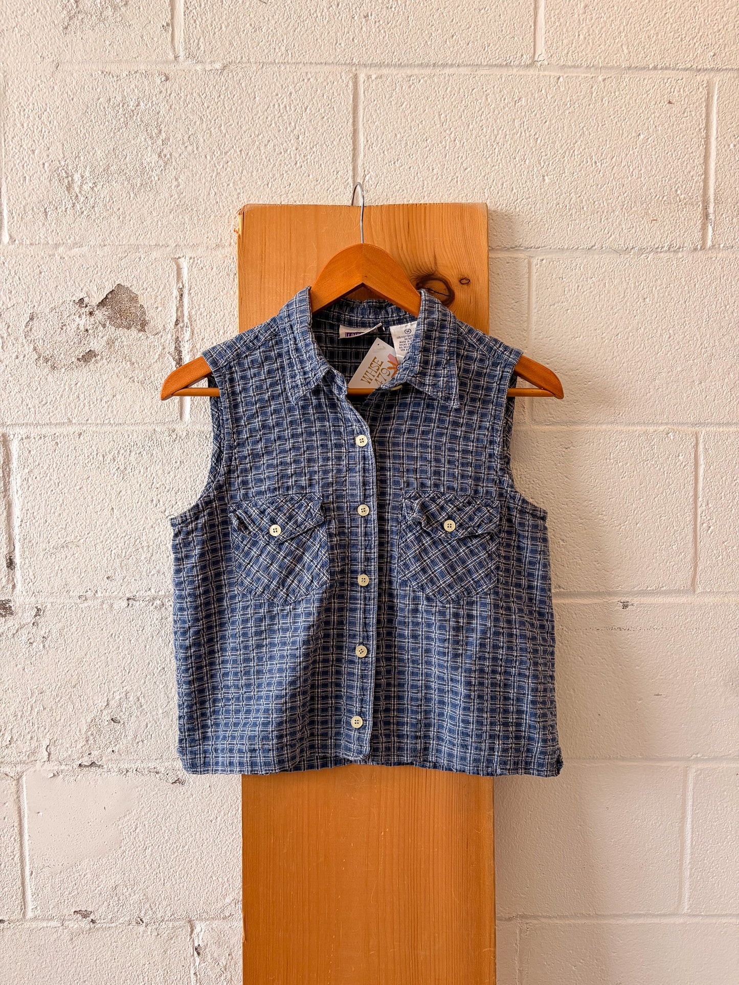Plaid Blue Sleeveless Button Up : M