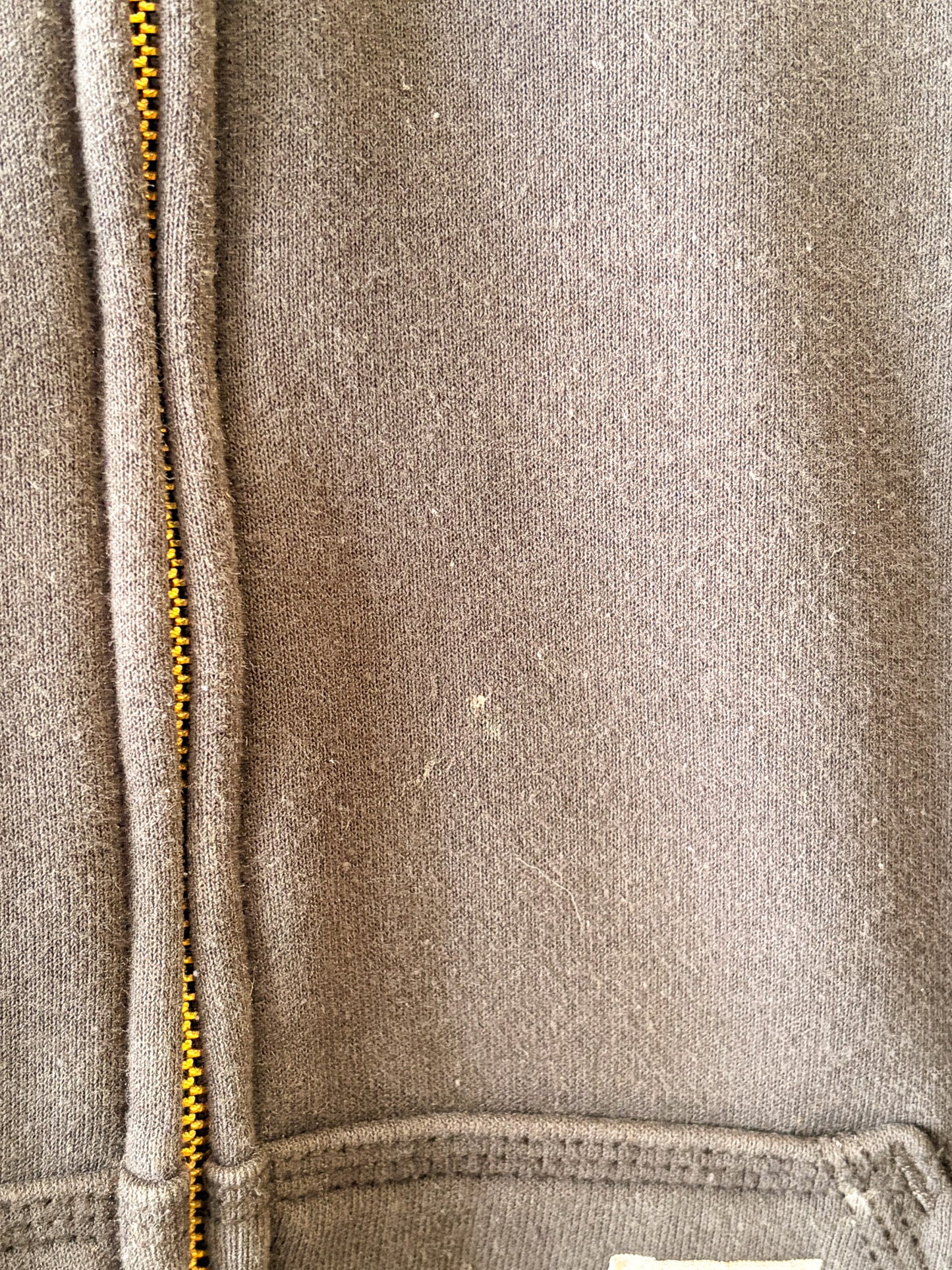 Thermal Lined Carhartt Hoodie : L