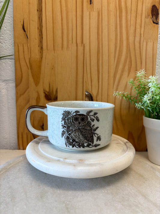 Owl Coffee Mug (Local Pick Up Only)
