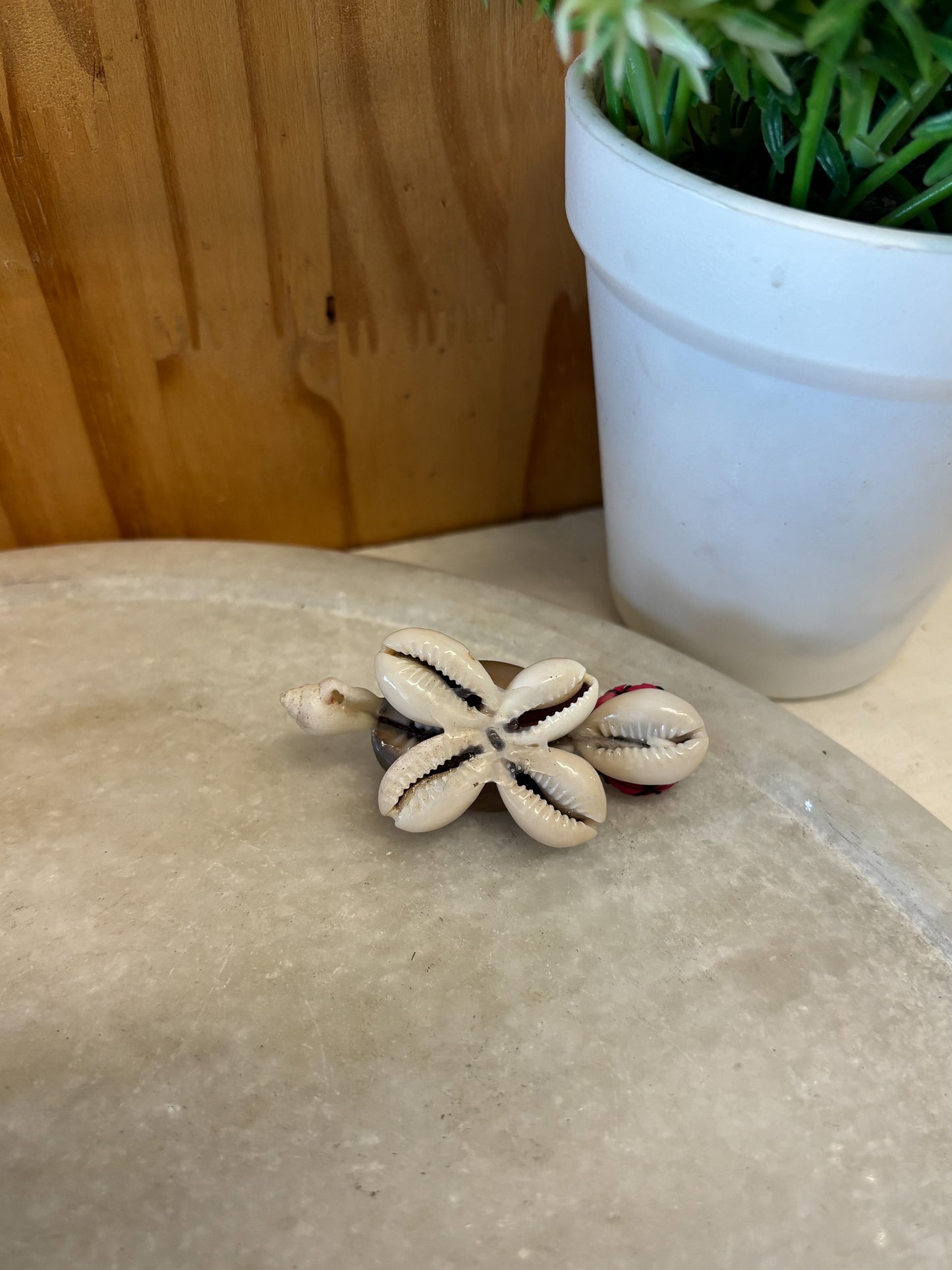 Shell Turtle Figure