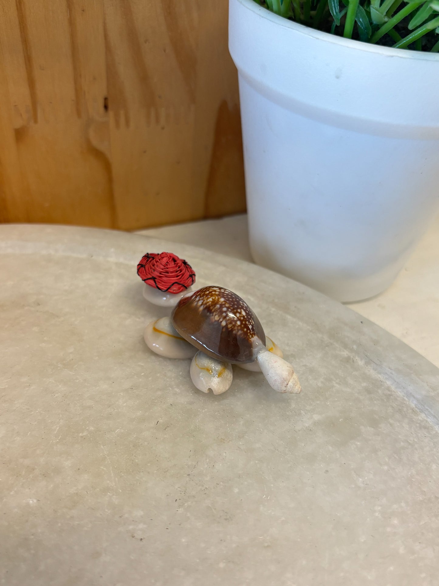 Shell Turtle Figure
