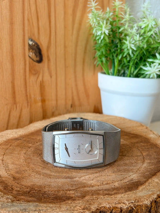 Skagen Dual-Time Stainless Steel Mesh Watch (Untested)