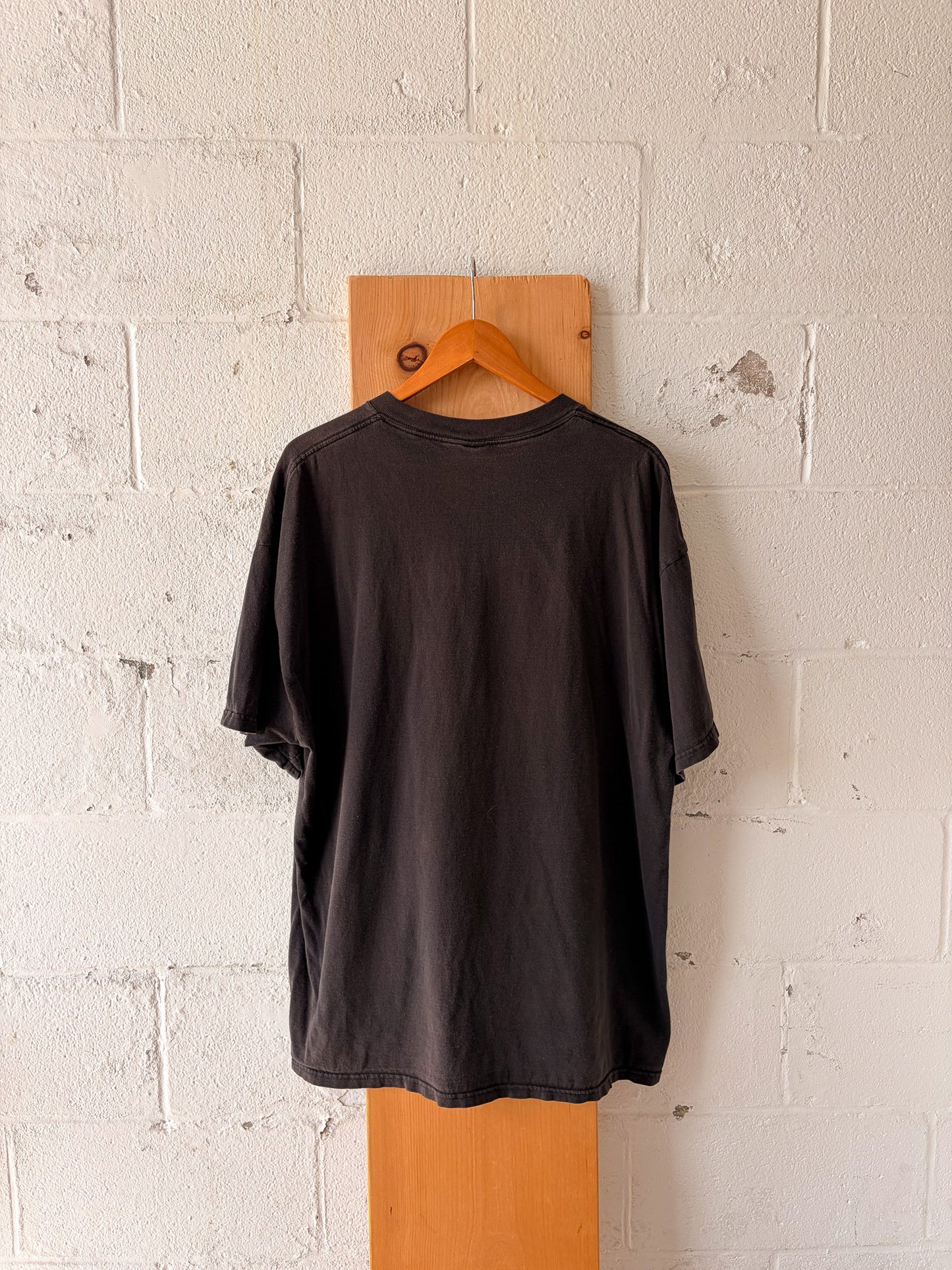 Vtg American Wilderness Tee : XXL