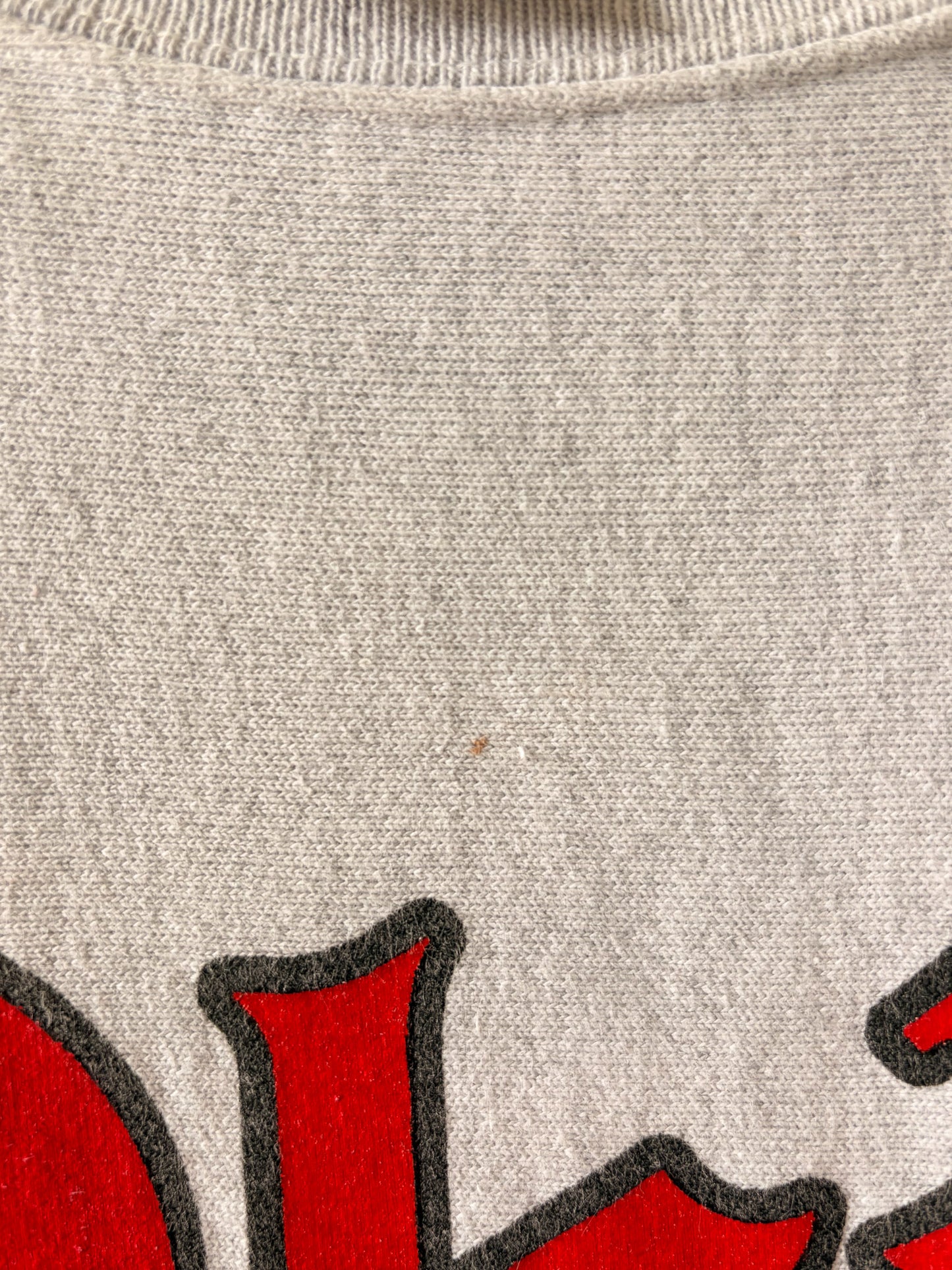 Champion Ohio State Crewneck : XL