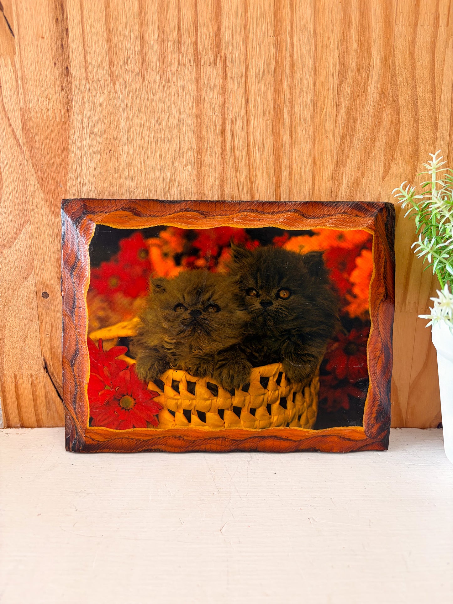 Wooden Kittens Plaque