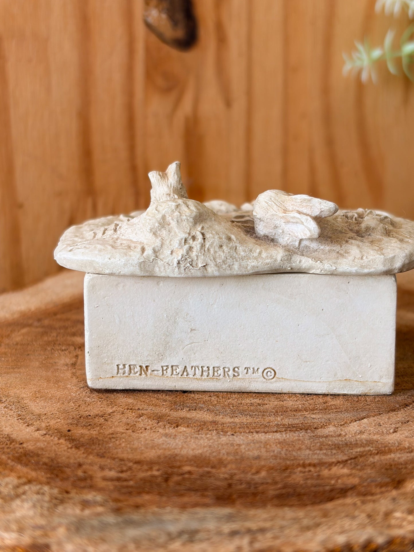 Hen-Feathers Rabbit Friends Trinket Dish (Local Pick Up Only)