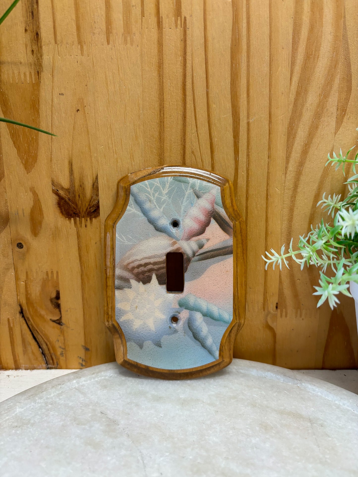 Vtg Coastal Light Switch Cover