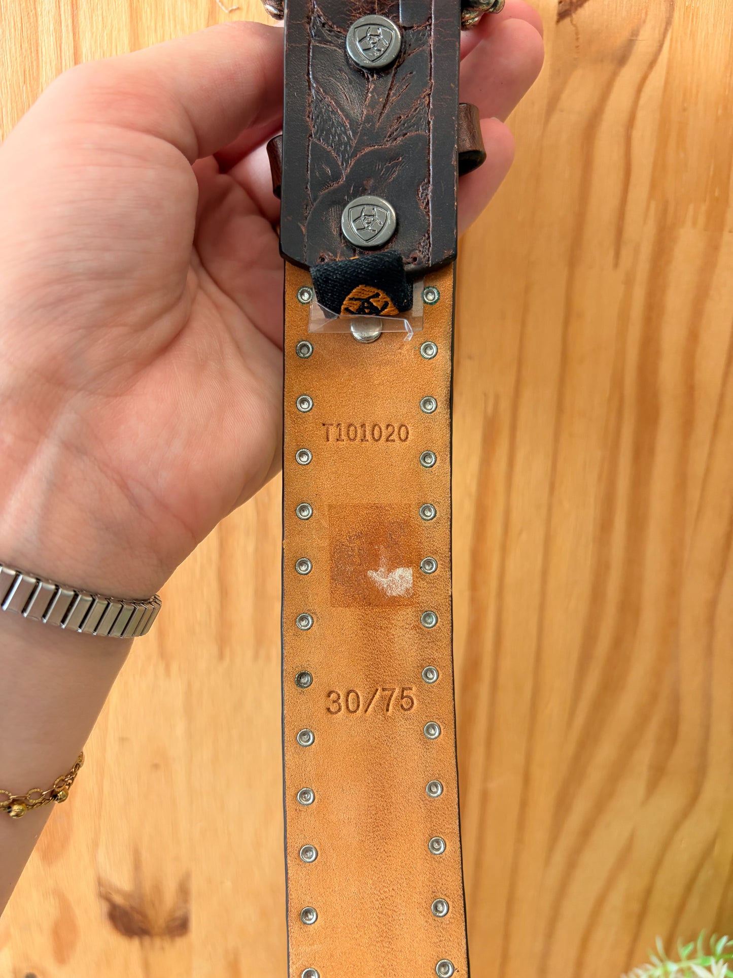 Studded Brown Ariat Leather Belt