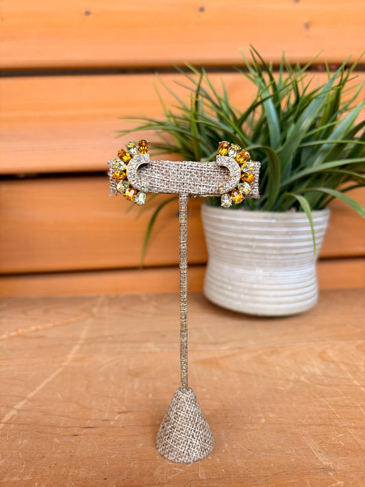 Vtg Wiesner Clip On Earrings