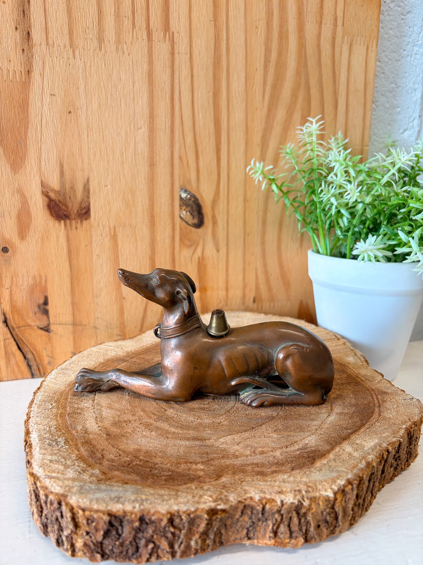 Vtg Greyhound / Whippet Dog