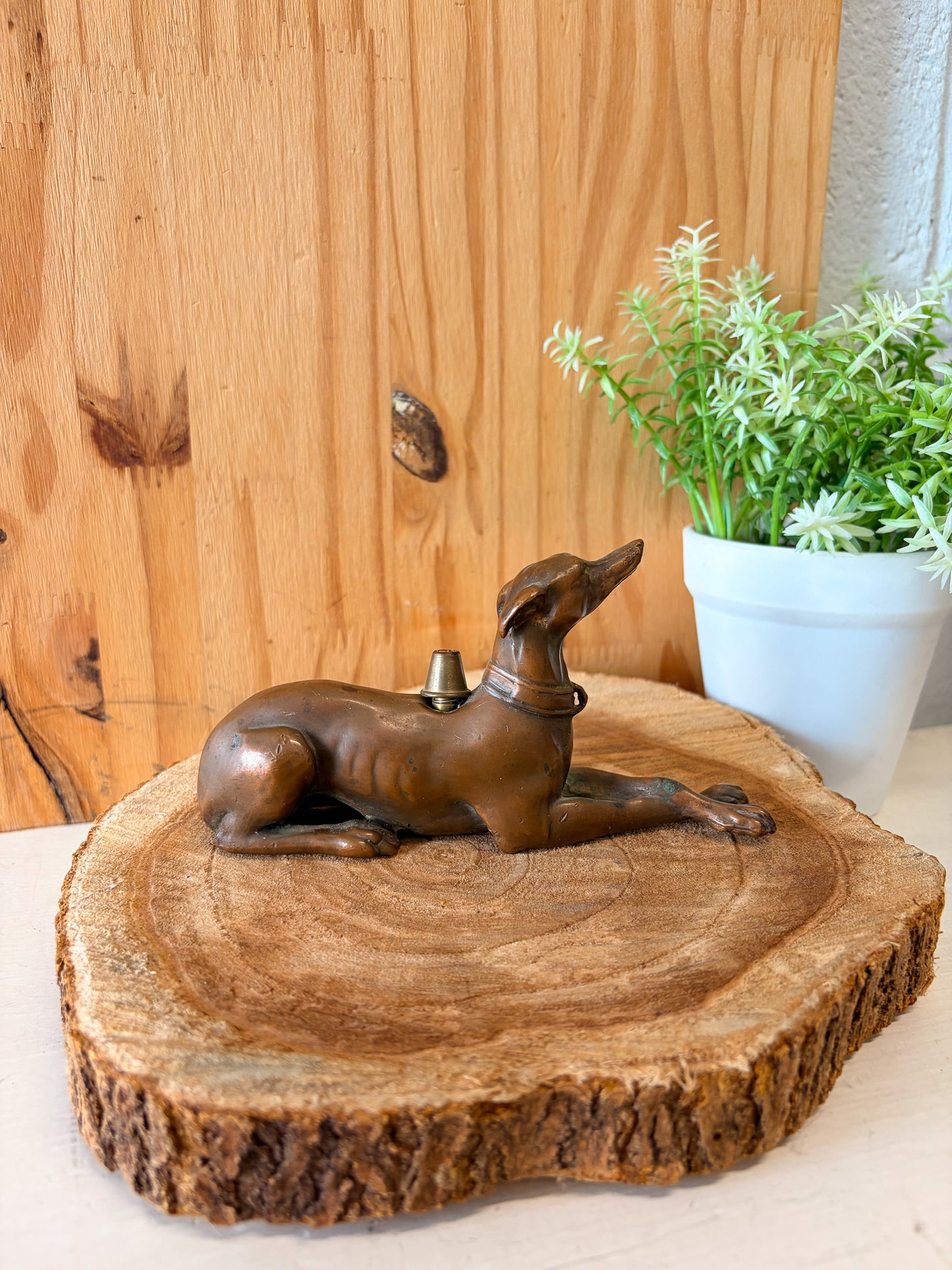 Vtg Greyhound / Whippet Dog