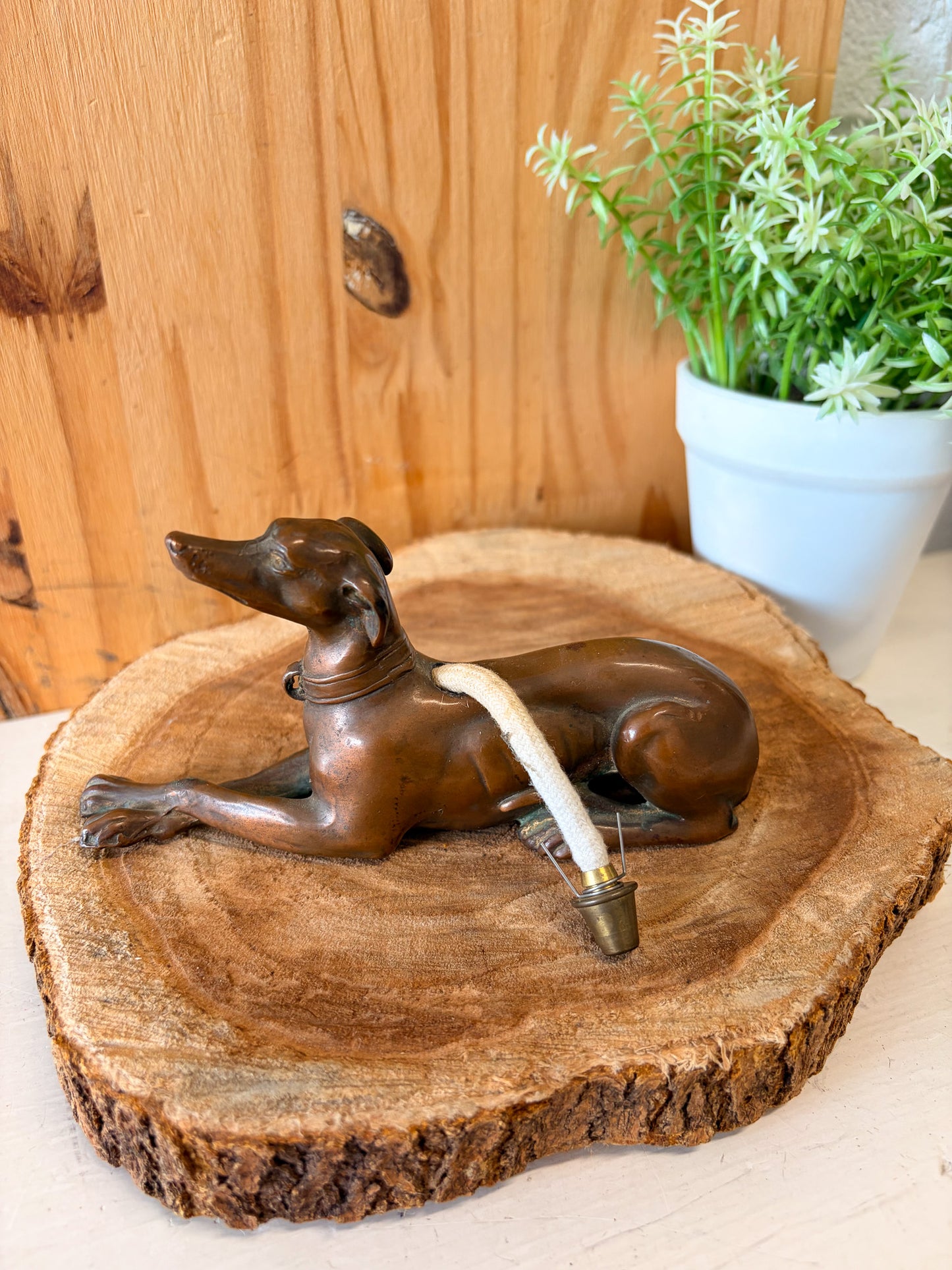 Vtg Greyhound / Whippet Dog
