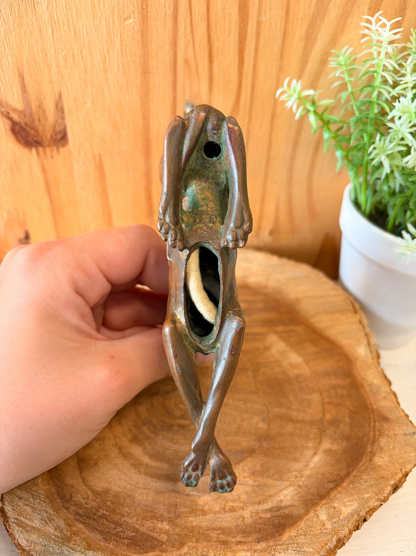 Vtg Greyhound / Whippet Dog