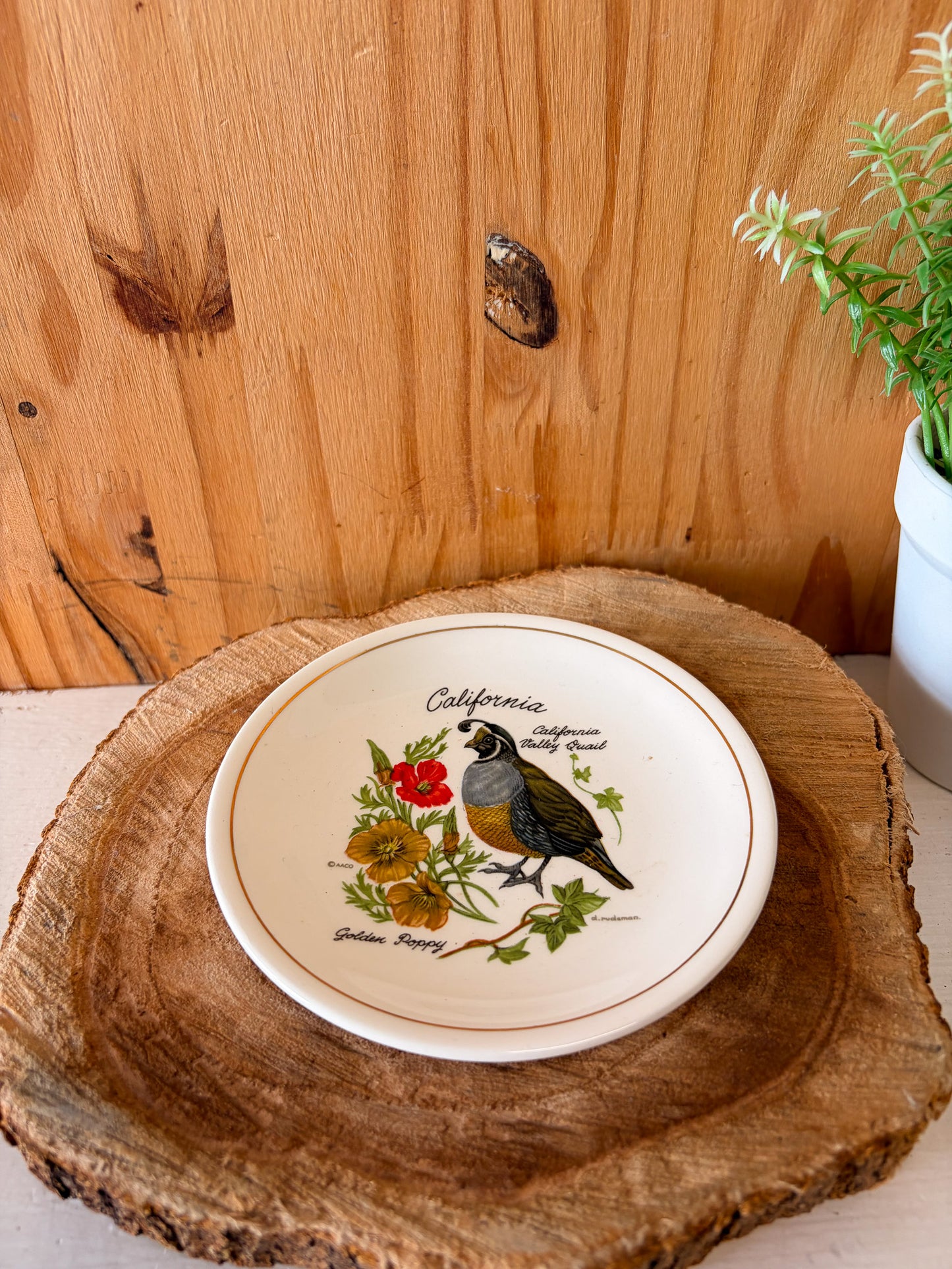 California Quail Trinket Dish