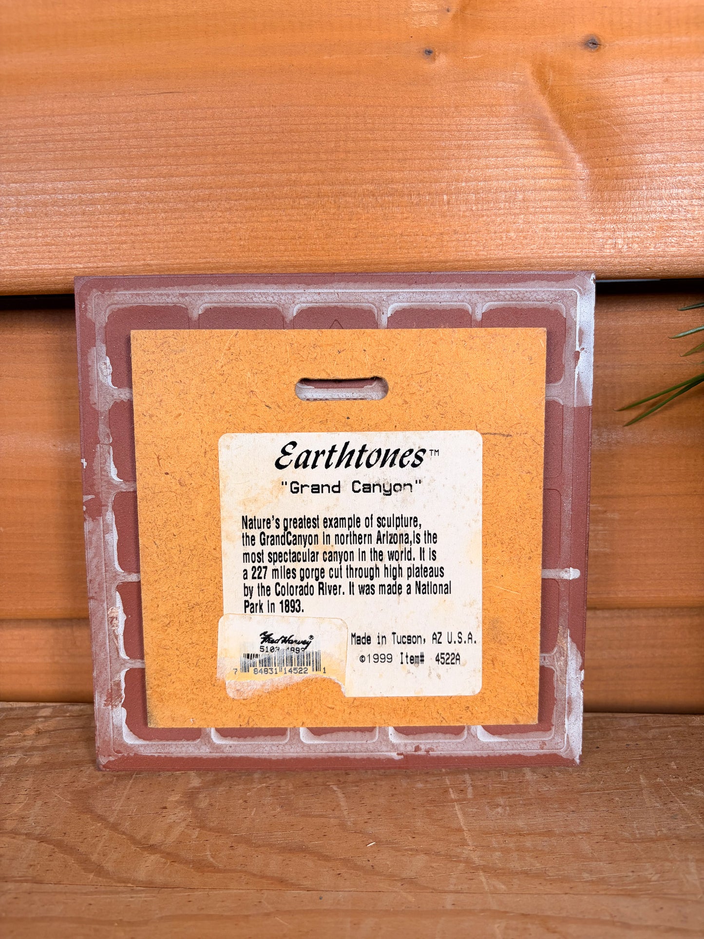 Vtg Grand Canyon Decorative Tile (Local Pick Up Only)