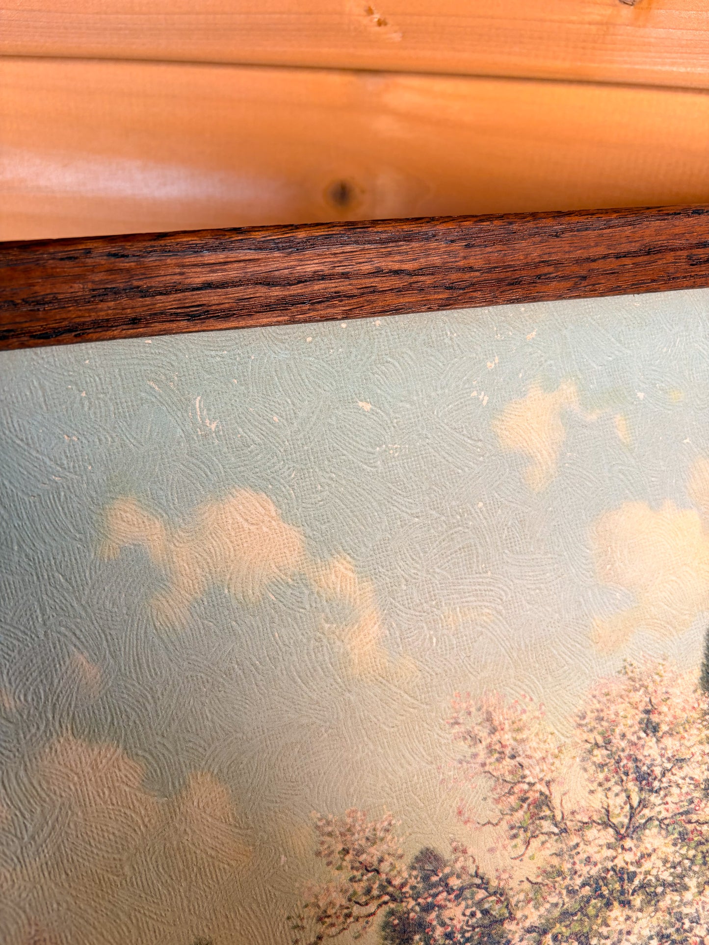 Vtg Framed Scenic Print (Local Pick Up Only)