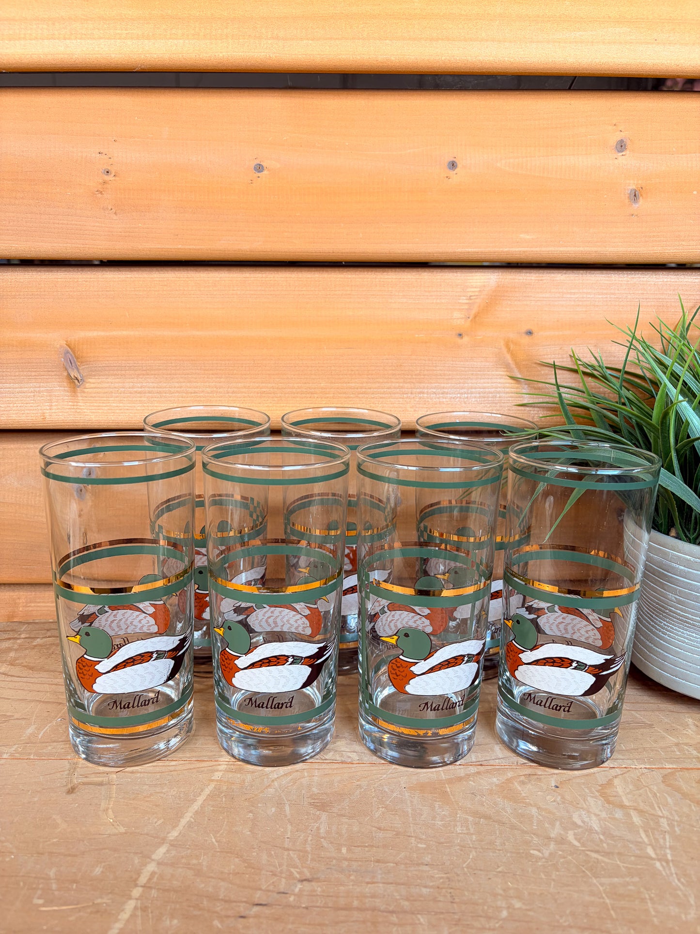 Set of 7 Vtg Mallard Duck Glasses (Local Pick Up Only)