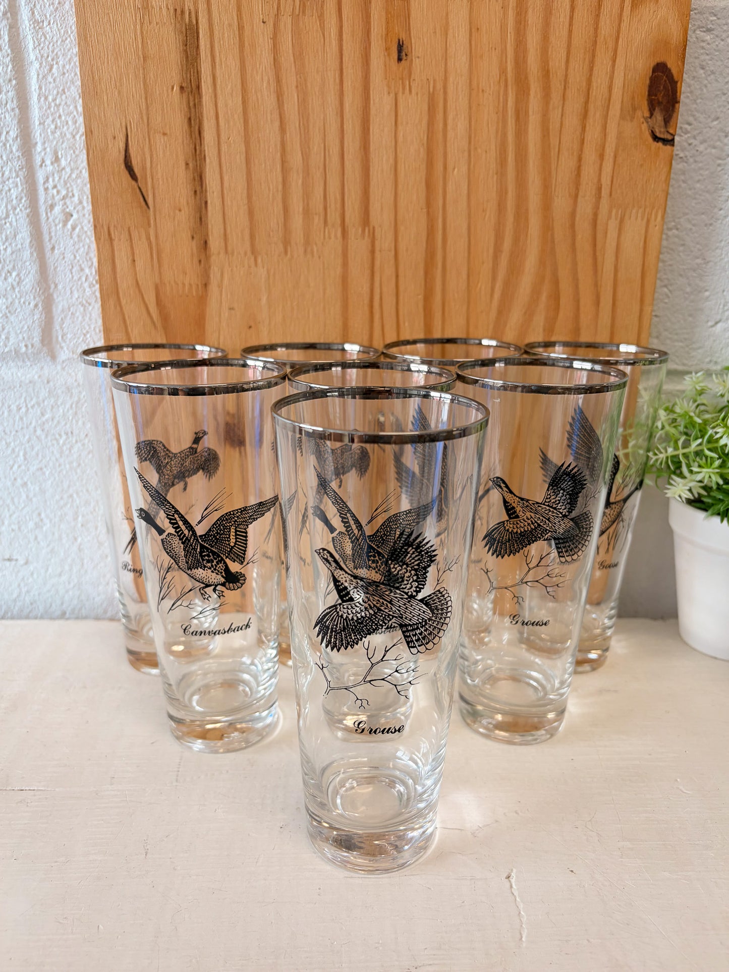 Vtg Set of 8 Wild Bird Highball Glasses (Local Pick Up Only)