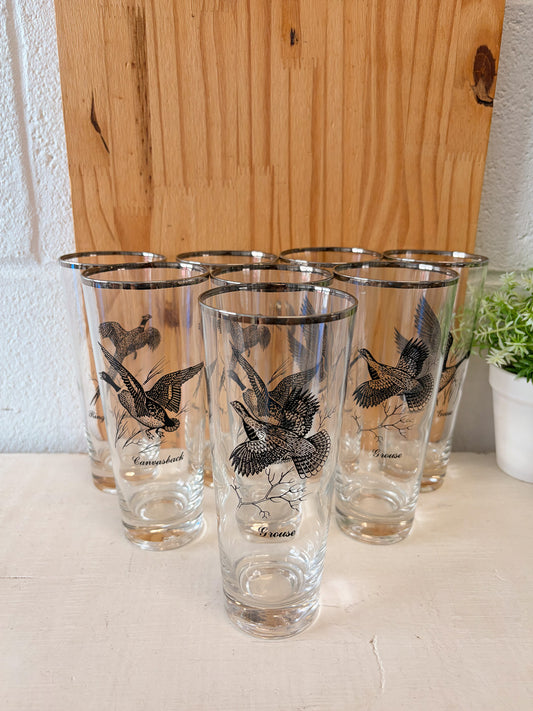 Vtg Set of 8 Wild Bird Highball Glasses (Local Pick Up Only)