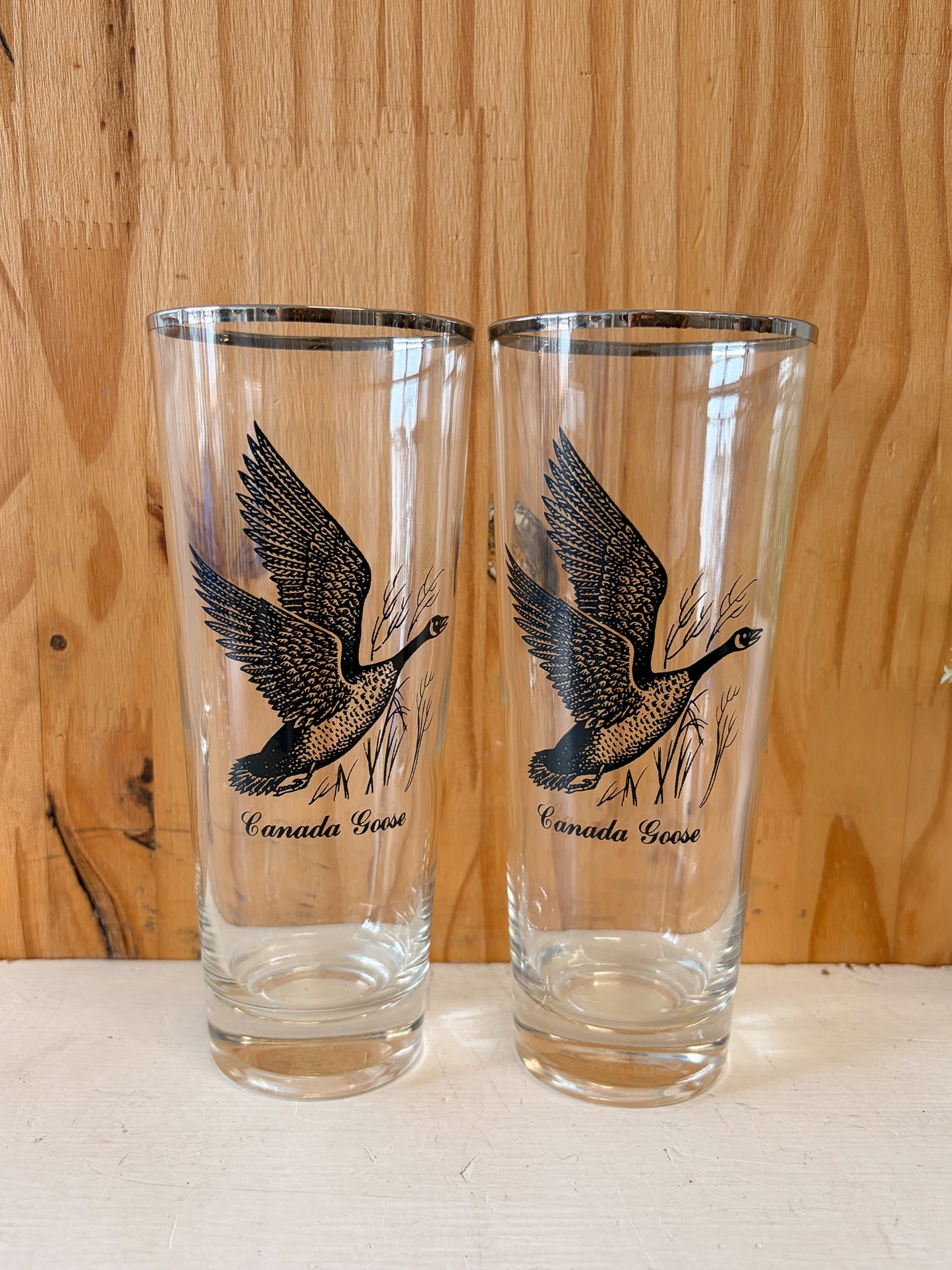 Vtg Set of 8 Wild Bird Highball Glasses (Local Pick Up Only)